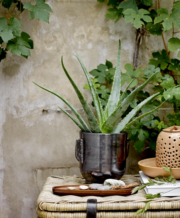 BloomingTables : un meuble pour cultiver son jardin (potager